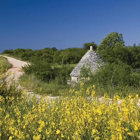 Tatil Evi Damijanici Vi
